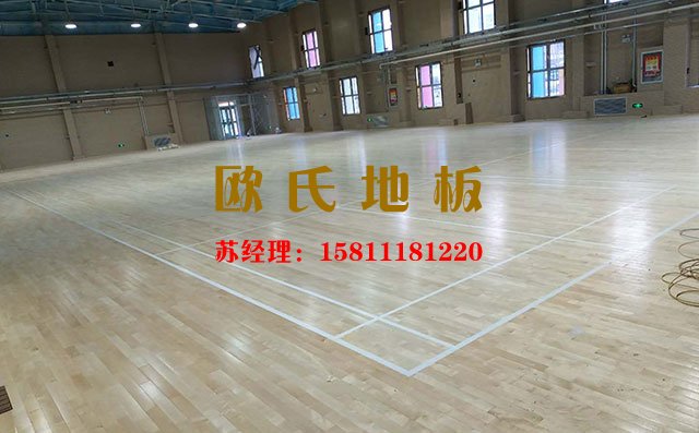 柞木、楓木與楓樺木應用到體育場館哪種較好呢——歐氏地板