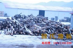 影響運(yùn)動(dòng)木地板價(jià)格的具體因素是什么？
