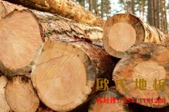 運(yùn)動(dòng)木地板奏響發(fā)展的美妙樂章