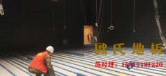 淺析運動木地板的三大特性、六項指標